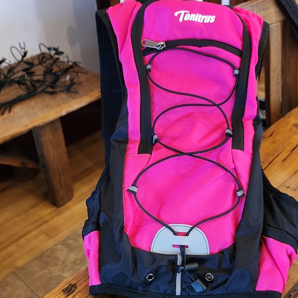 Tonitrus Pink and Black Backpack